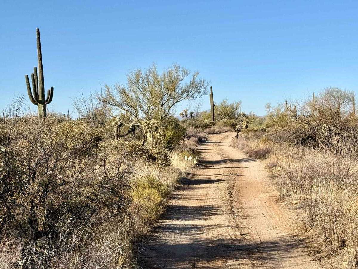 Crescent Trail photo 5
