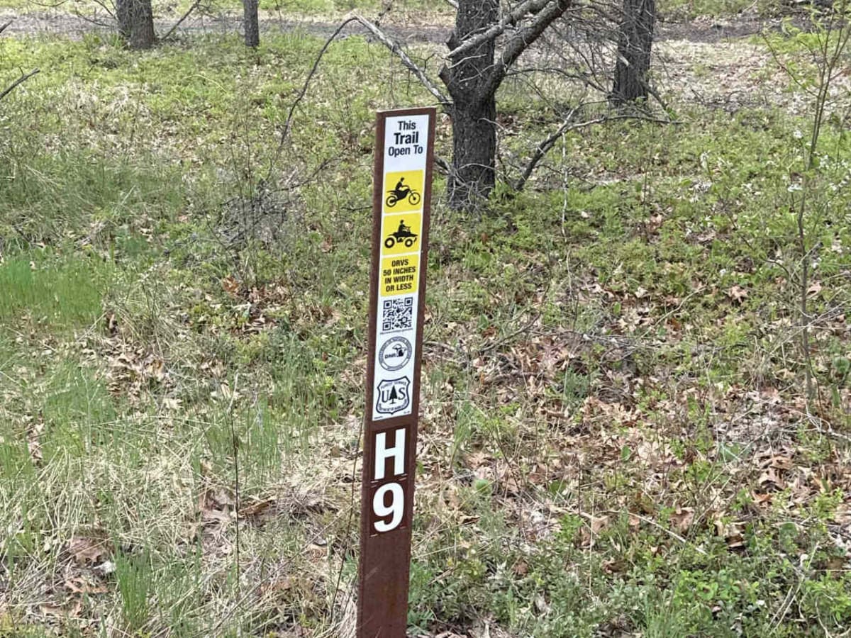H9 Grass Lake to FS 4194 photo 5
