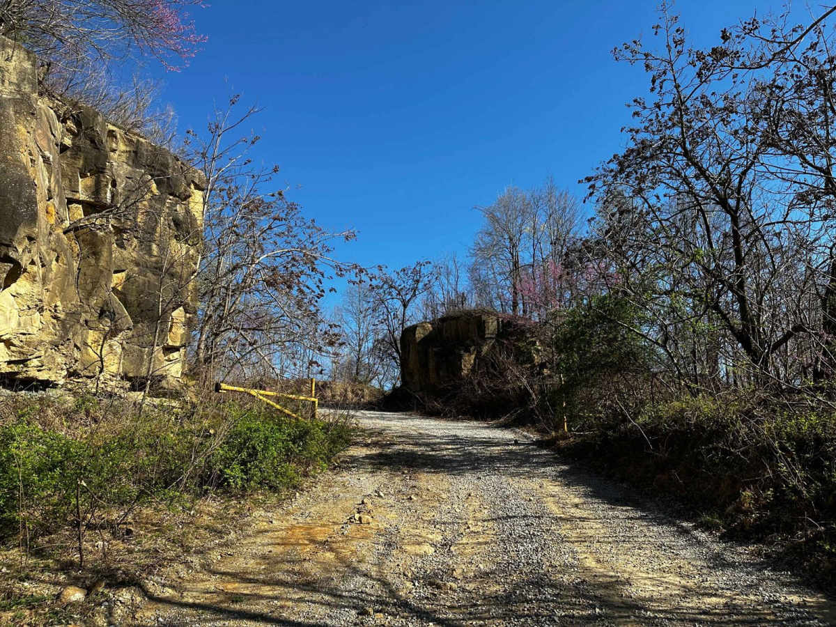 Flat Fork photo 5