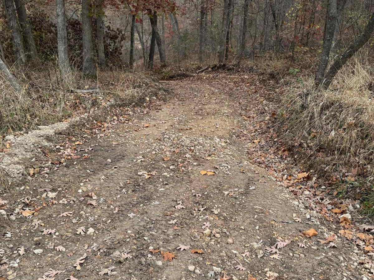 Green 187 trail photo