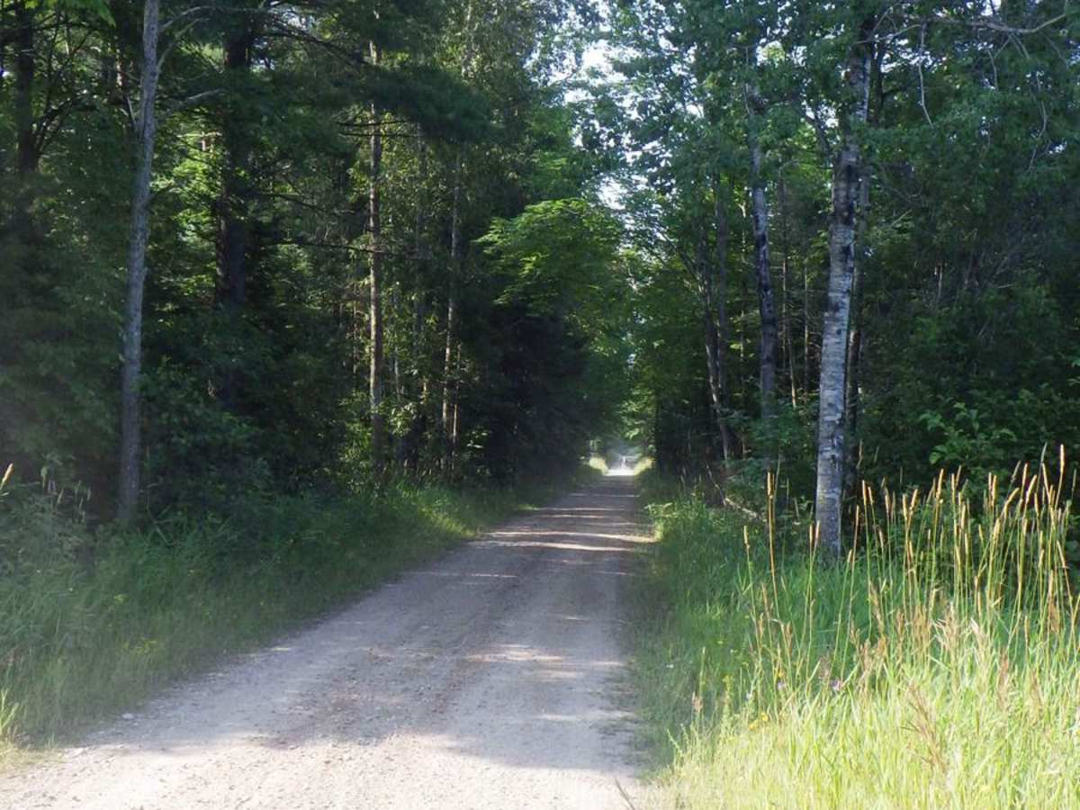 North ORV Route photo 4