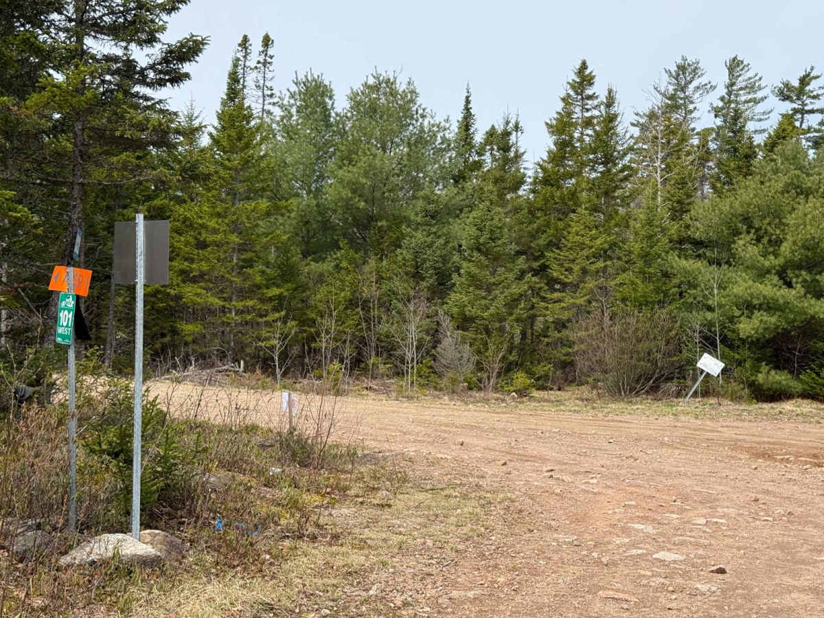 Route 12 photo 2
