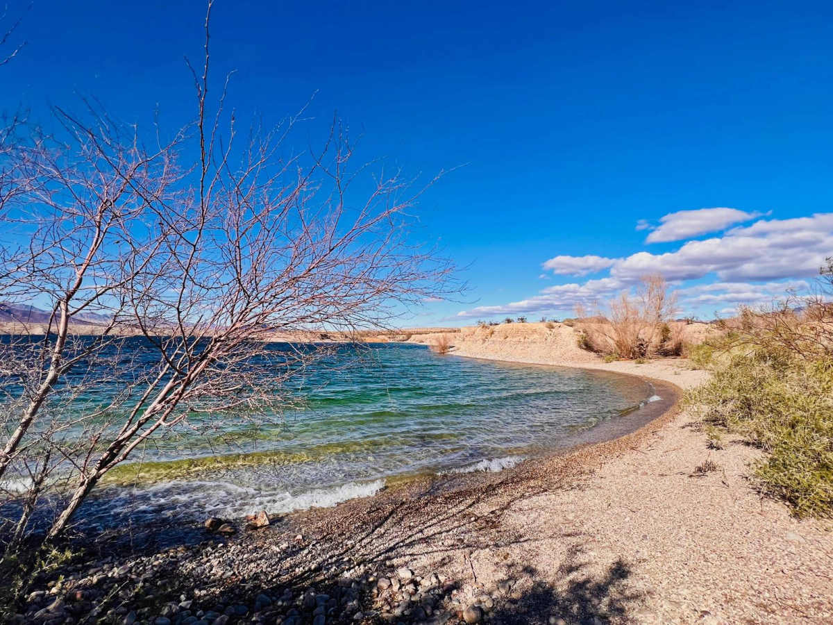 Willow Tree Cove trail photo