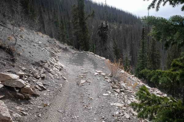 West Alder ATV 798 