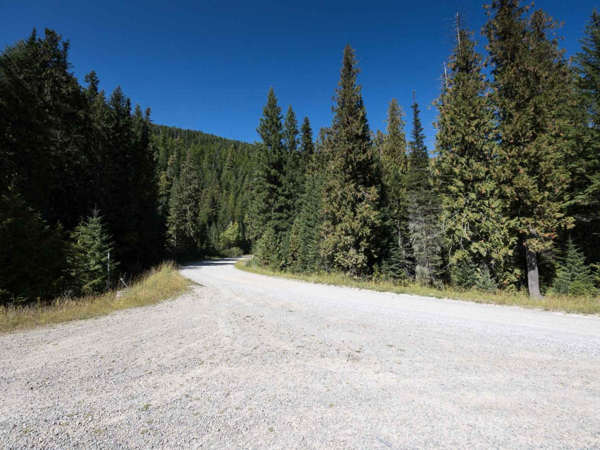 Little Joe Creek FS 282 photo 4