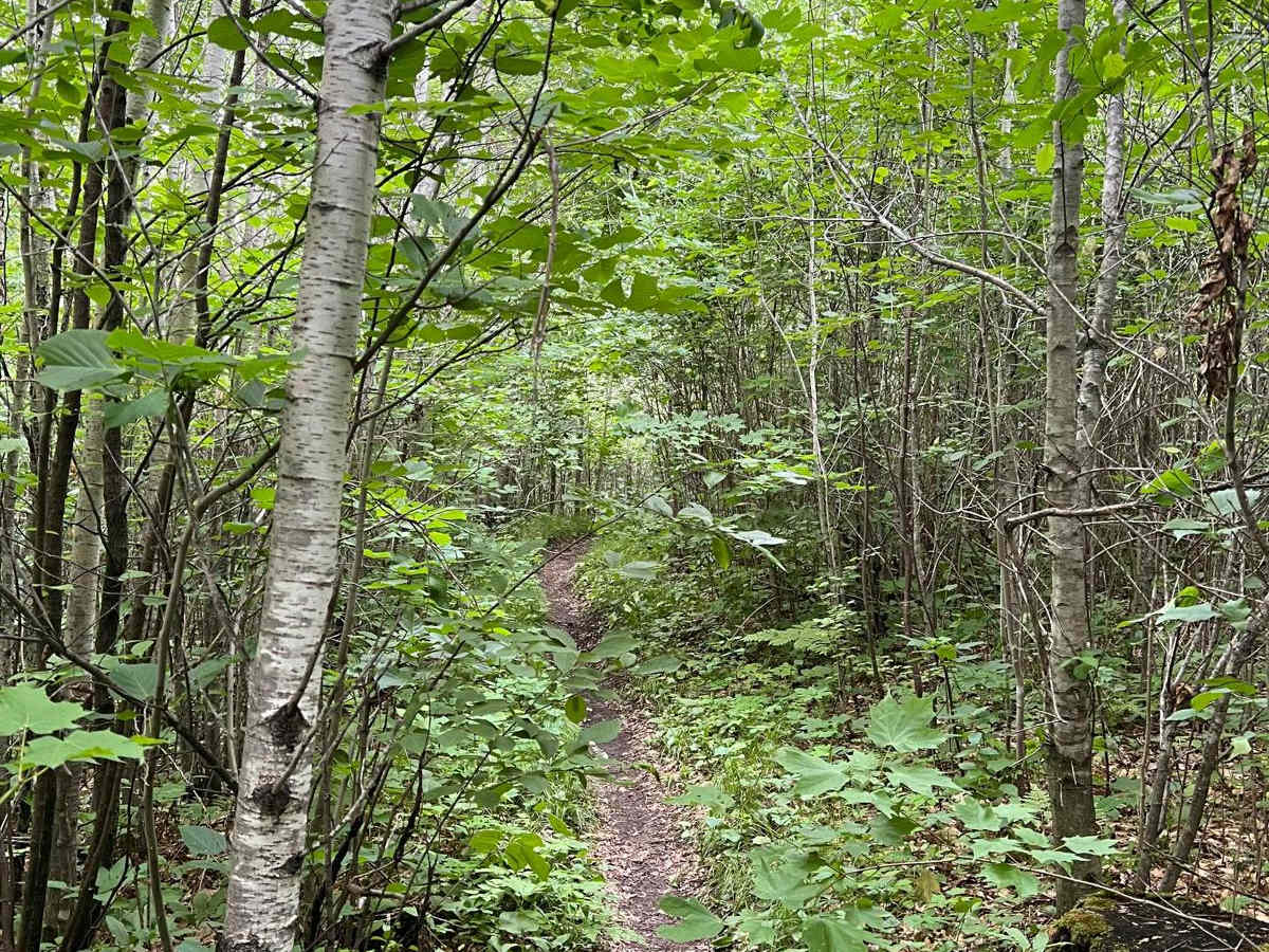 Paul Bunyan NW Loop Part 2 photo 2