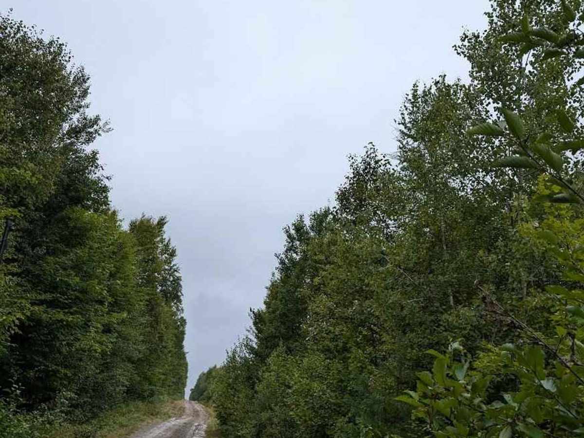 Ryder Lake Easy Line photo 3