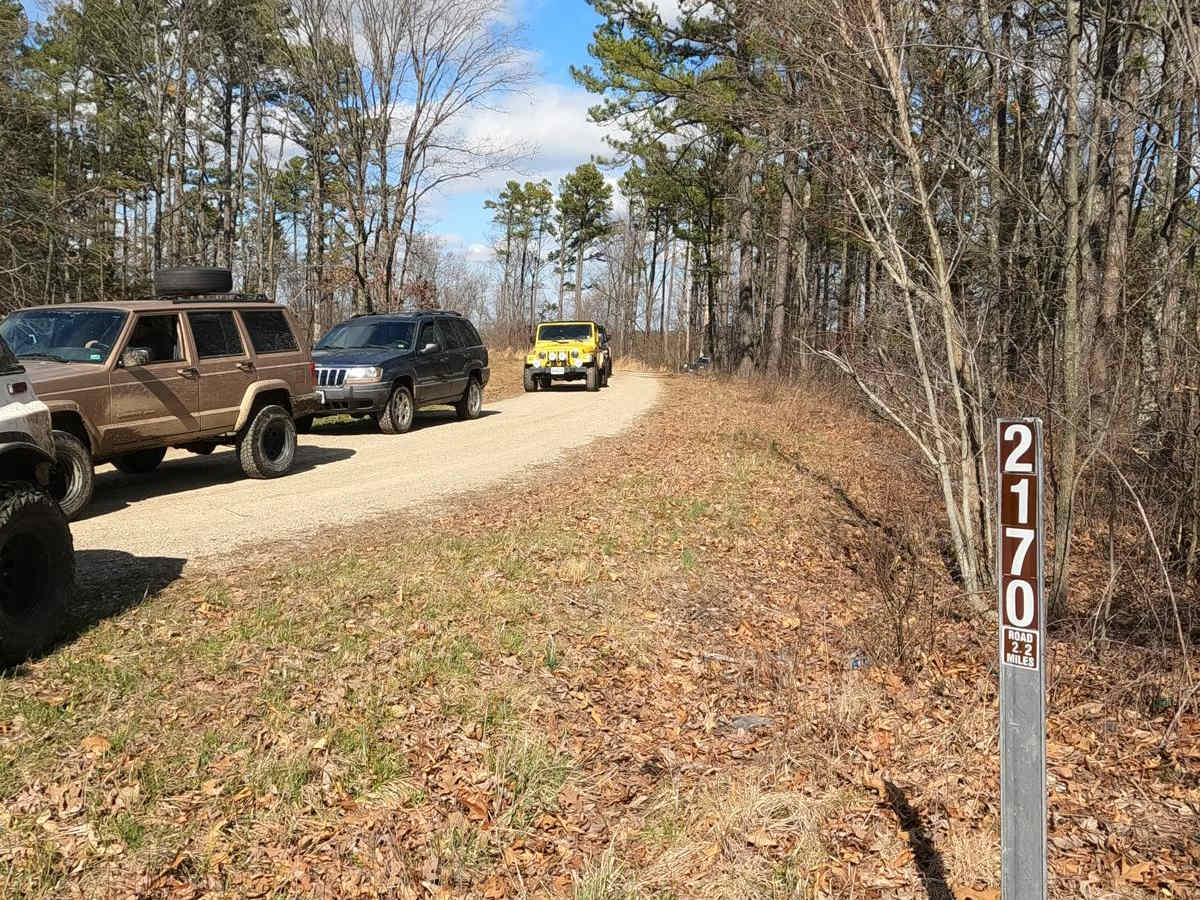 Johns Creek FSR 2170 trail photo