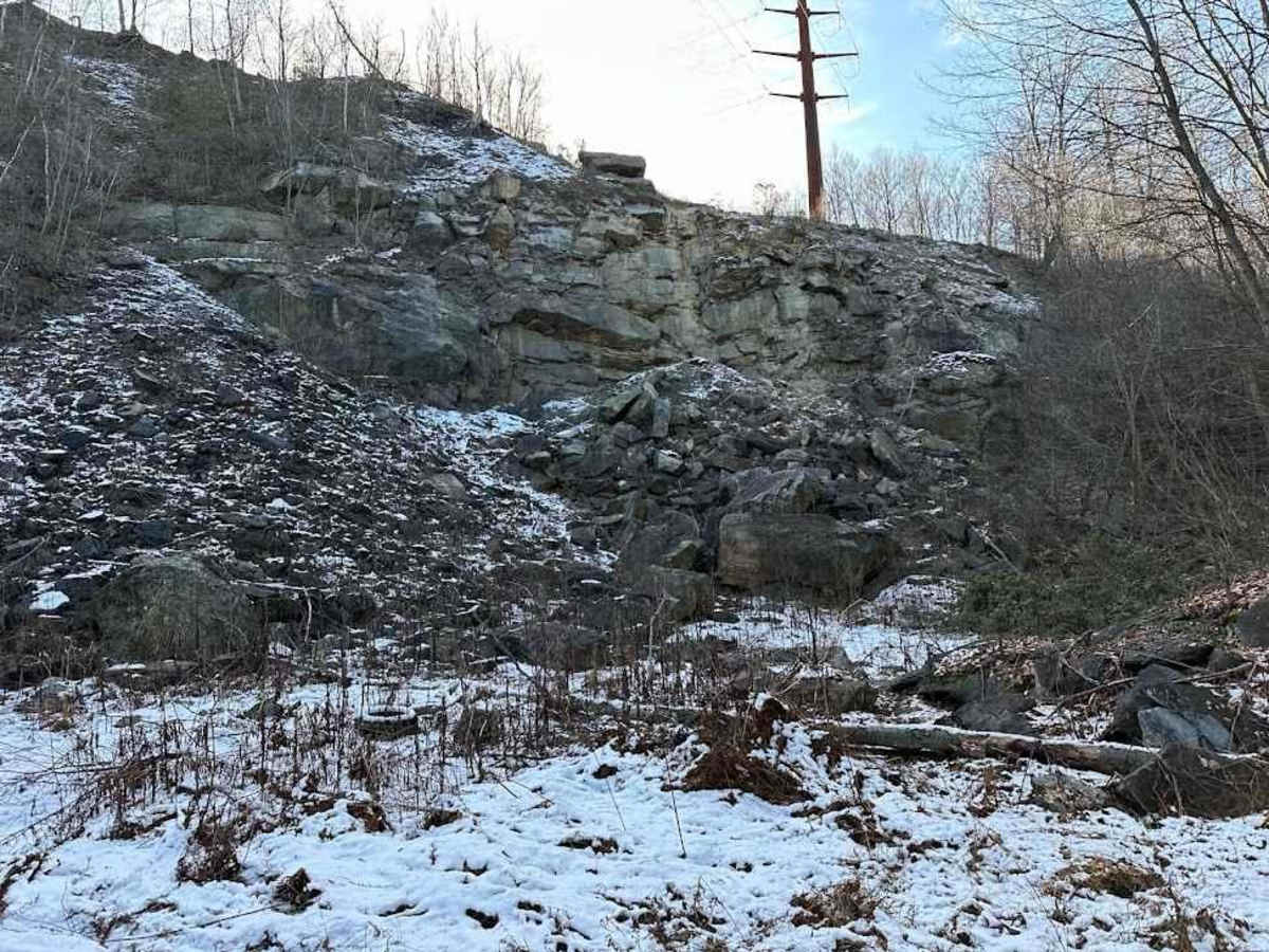 Locust Gap 15 photo 4