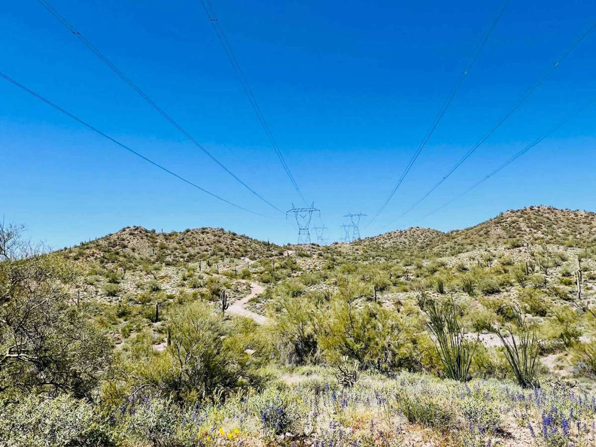 High Voltage photo 3