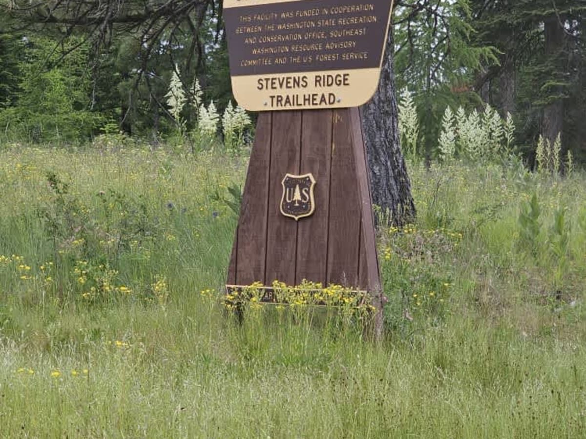 Stevens Ridge photo 4