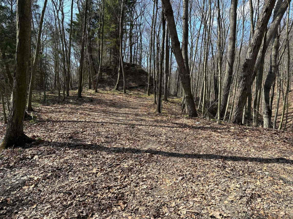 Ashland 25 trail photo