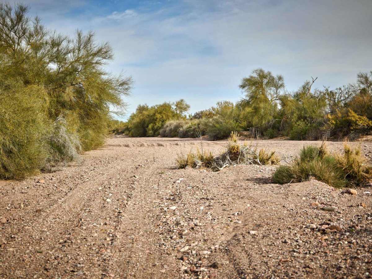 Central Red Raven Wash photo 4
