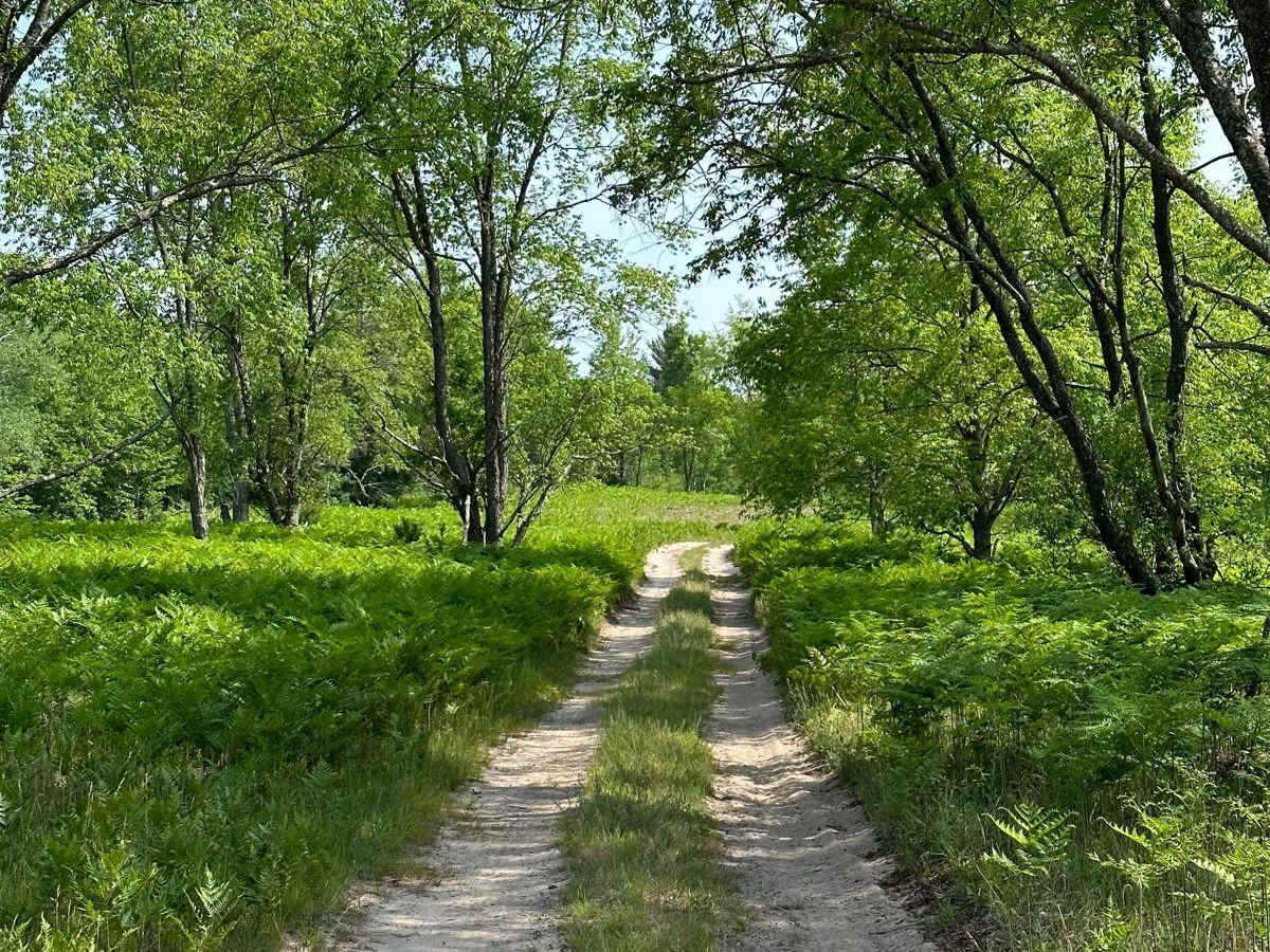 Grass Lake Spur photo 5