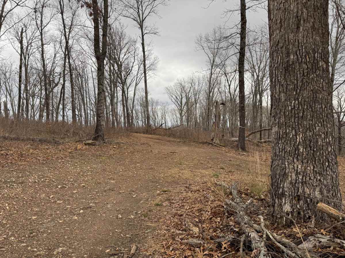 FSR 147C trail photo