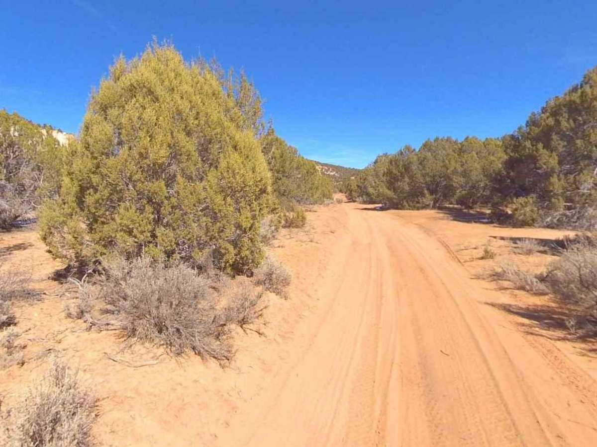 Harris Mountain-BLM28-KC1400 photo 3