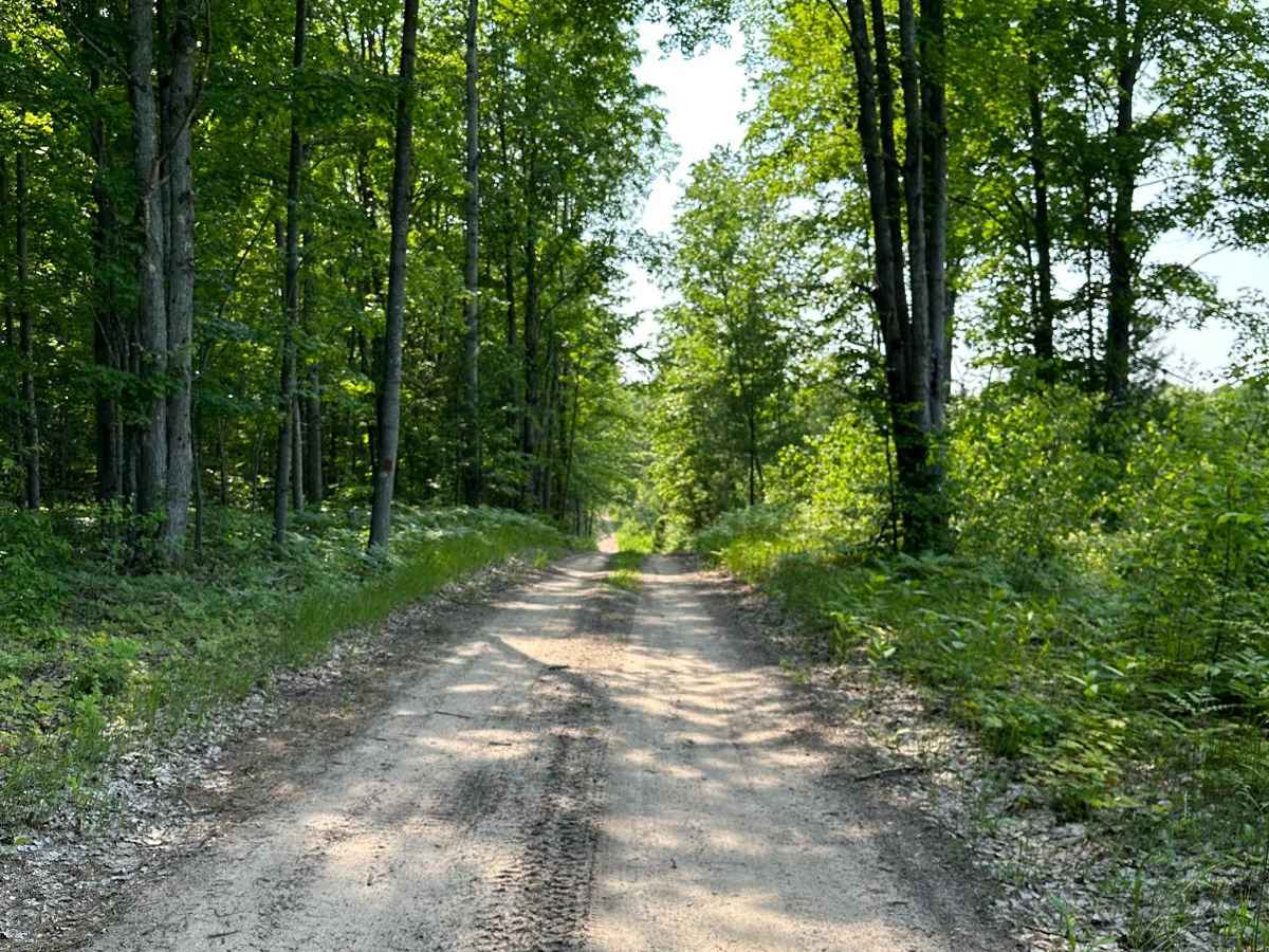 Trail 48468 photo 3