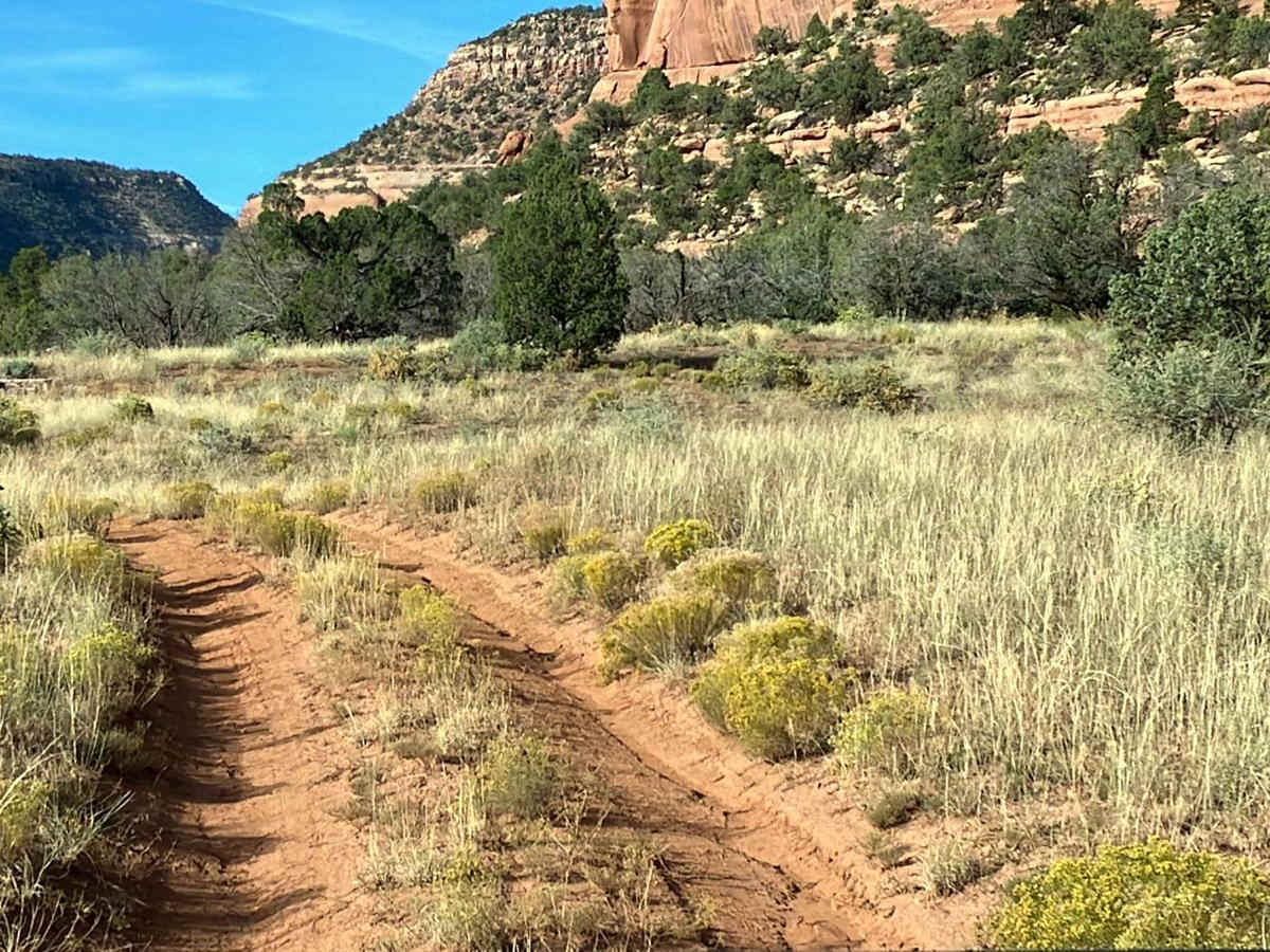 Red Canyon Paradox Trail photo 3