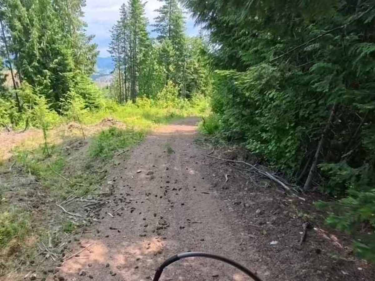 Chesley Creek Trail 19 photo 4