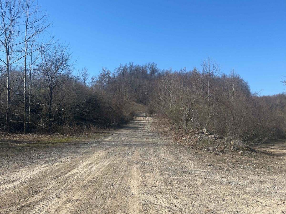 Trail 16 photo 6