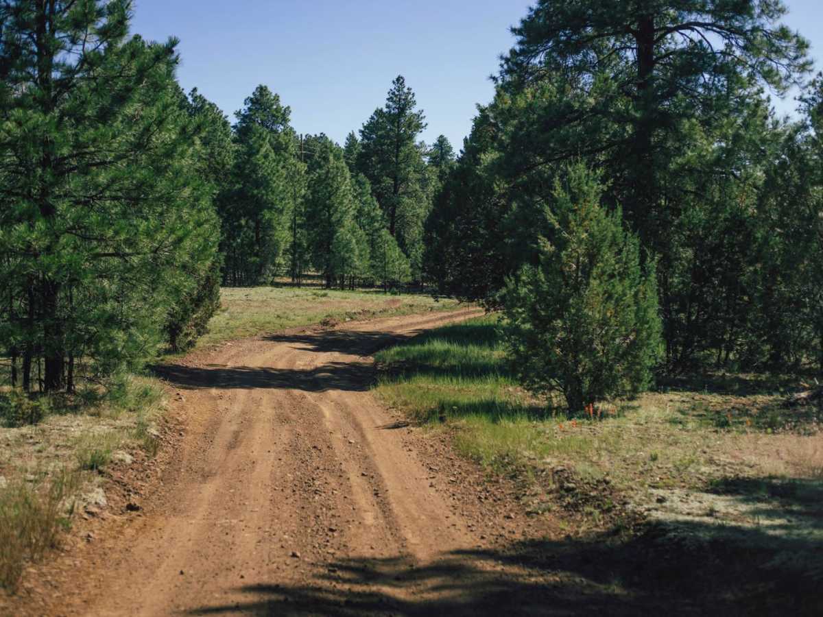 Old 72 Road photo 6