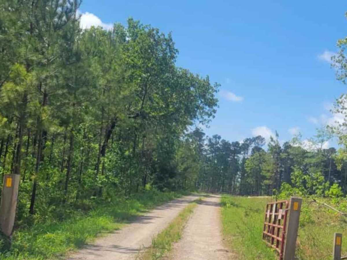 Oval Road - FSR 672 trail photo