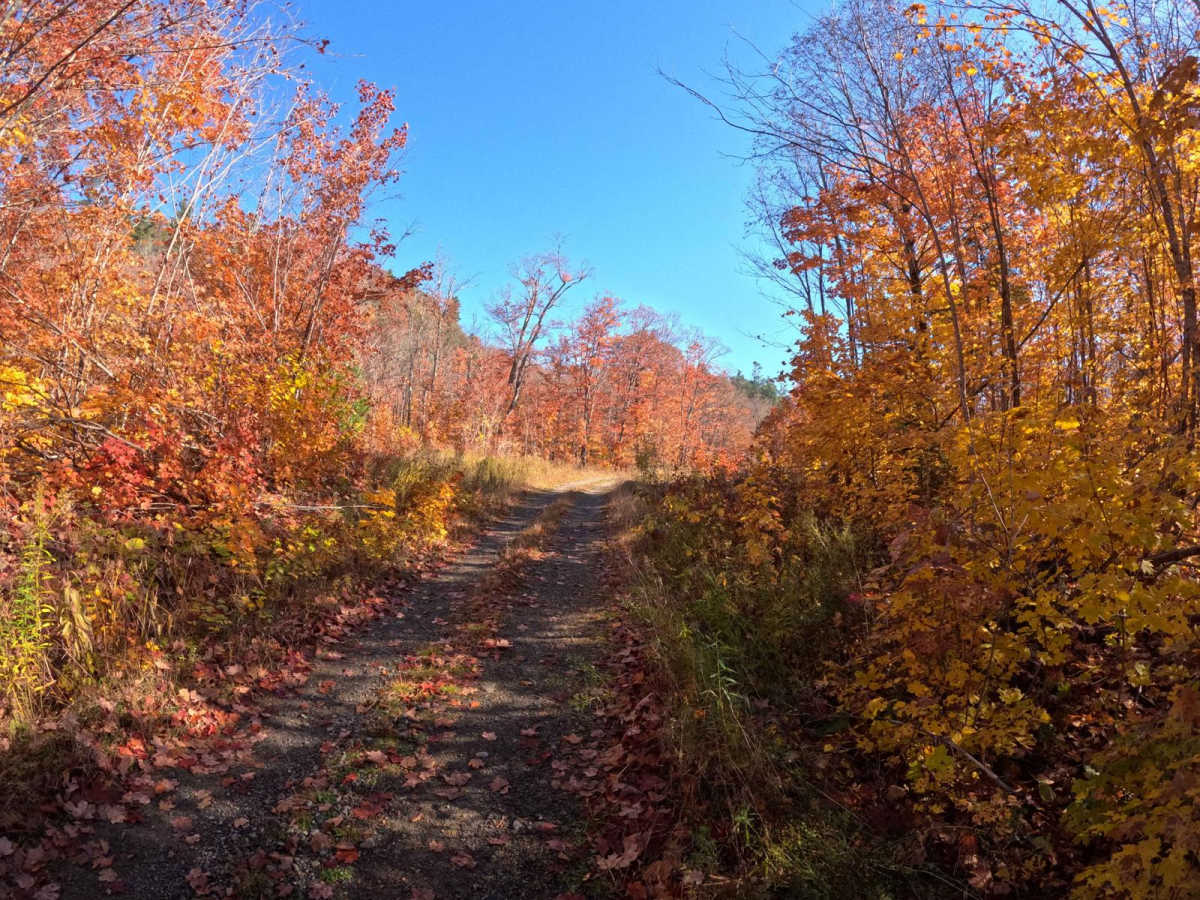 North Carp Lake Road (Tribag mine Alternate) photo 2