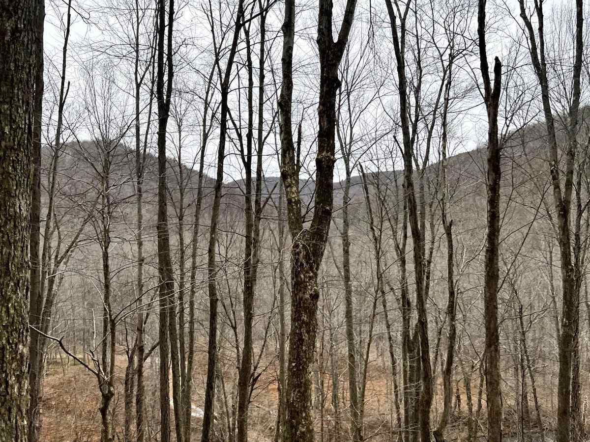 Corporation Dam Trail photo 6