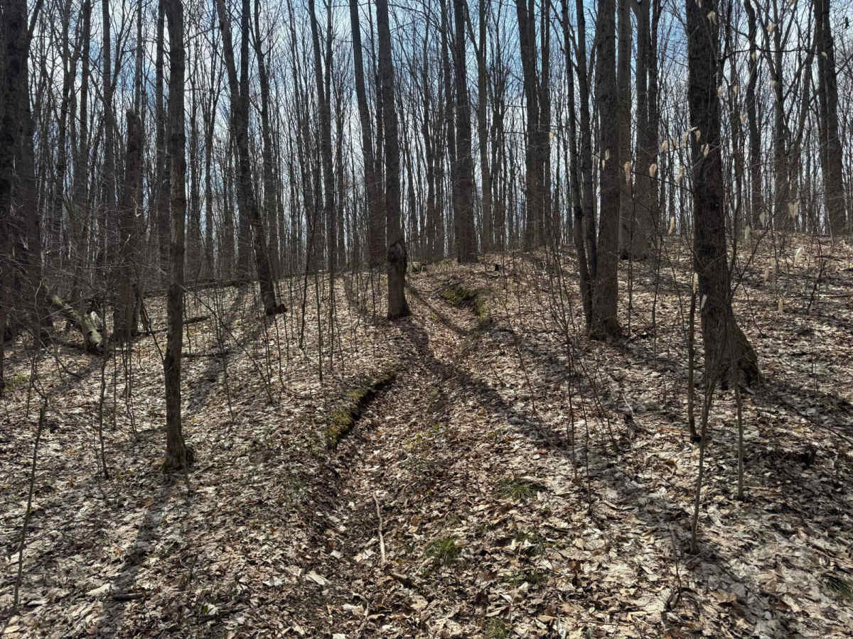 MCCCT - Lincoln Hills to Caberfae Spur photo 2