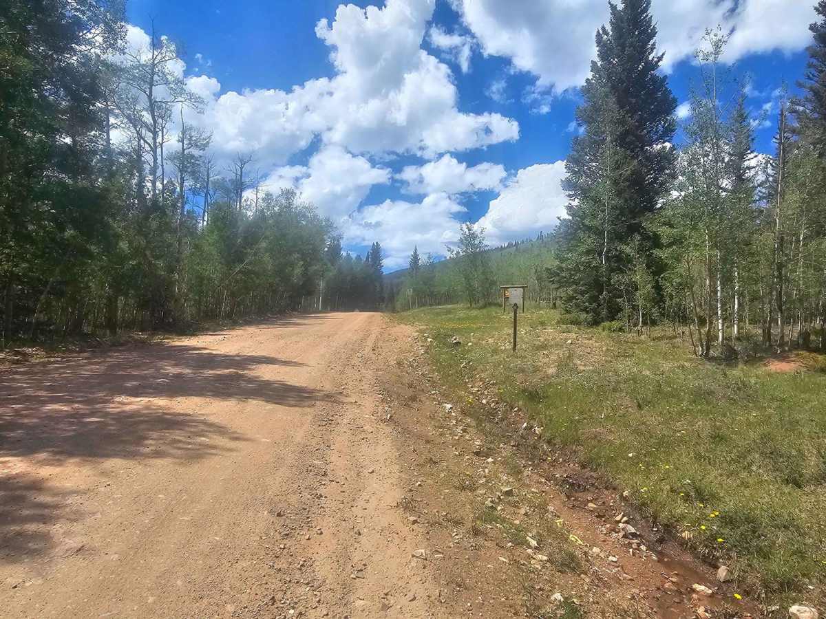 Michigan Creek Road trail photo