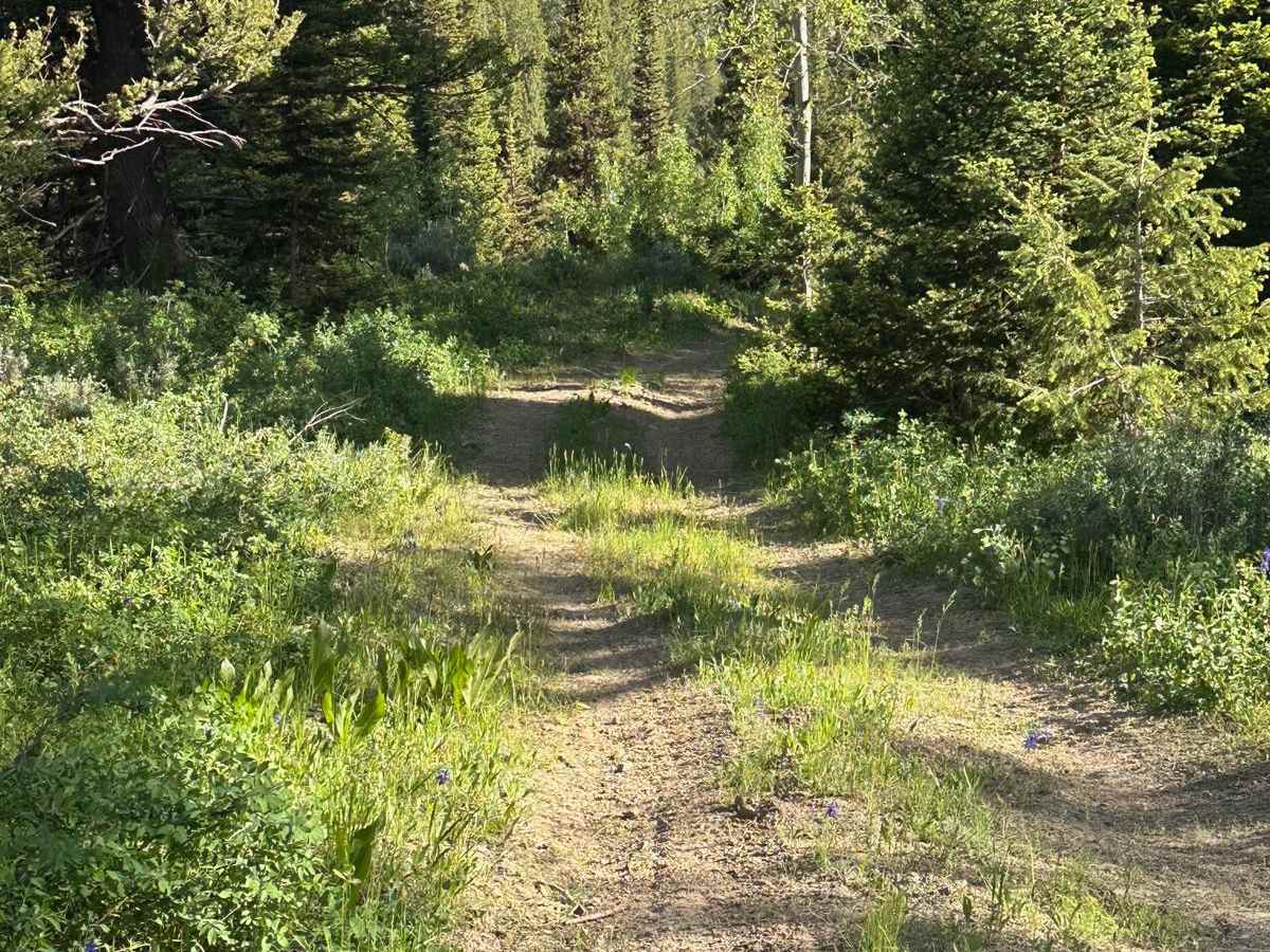 West Fork Smiths Fork photo 4