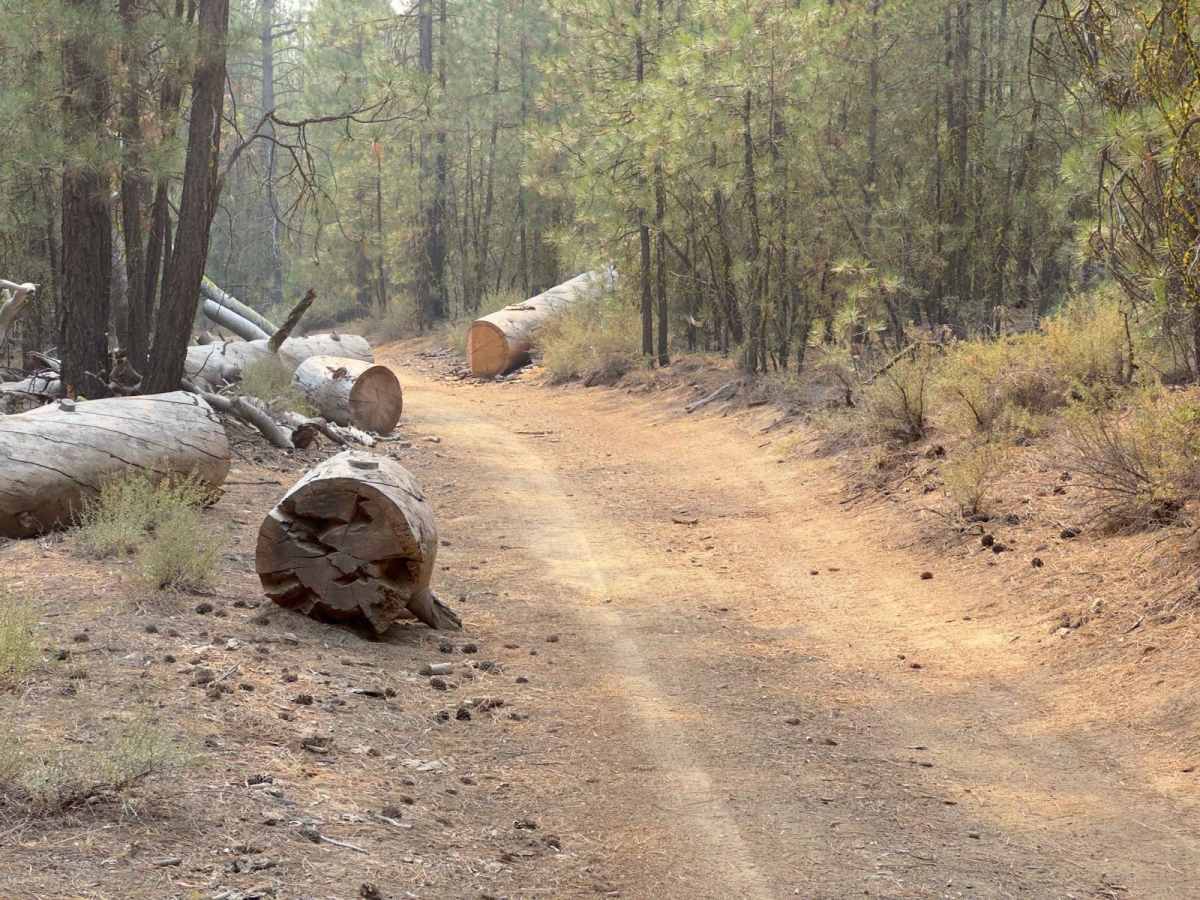 Wickiup Butte Trail trail photo