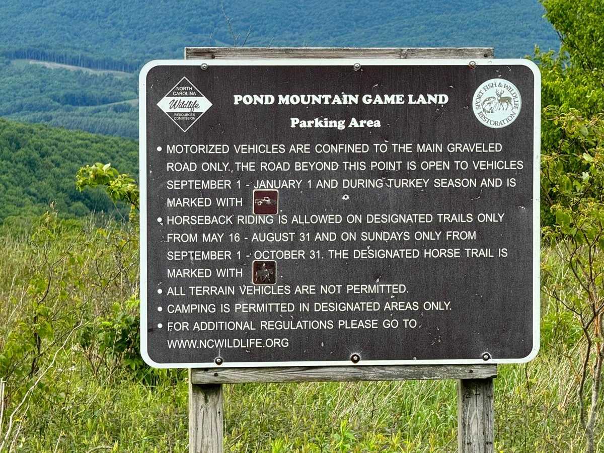 Pond Mountain Game Land Access Road photo 2