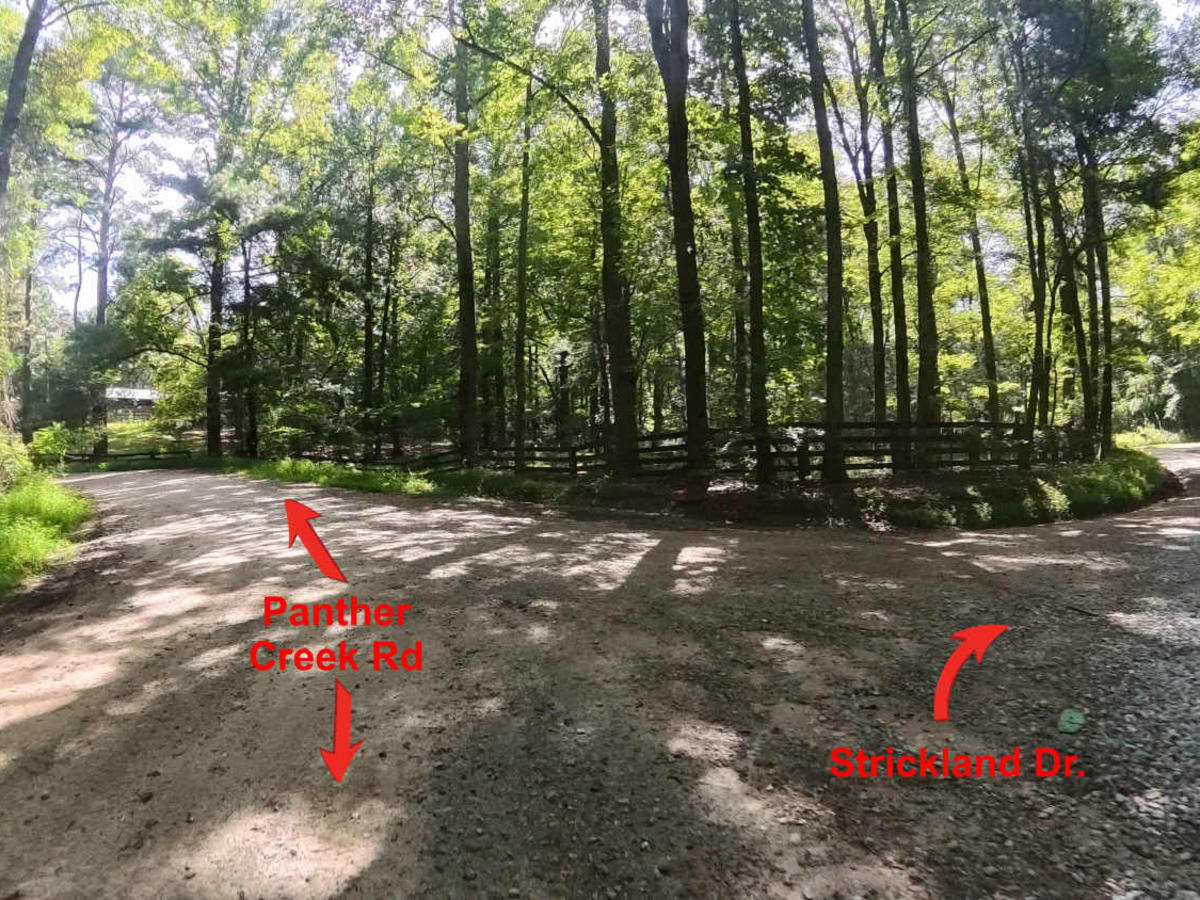 Strickland Drive trail photo