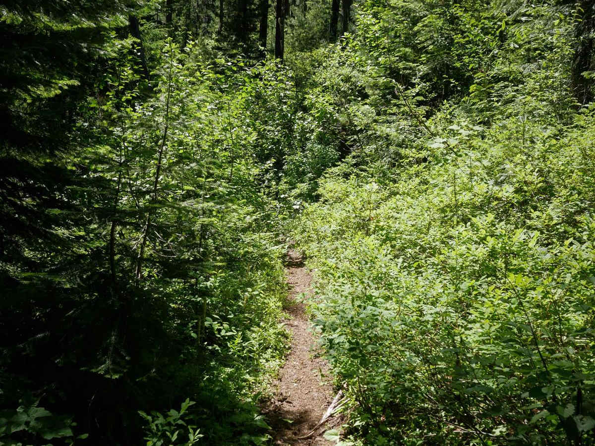 Bear Creek photo 5