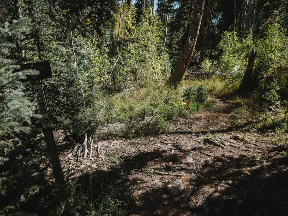 Little Red Trail photo 4