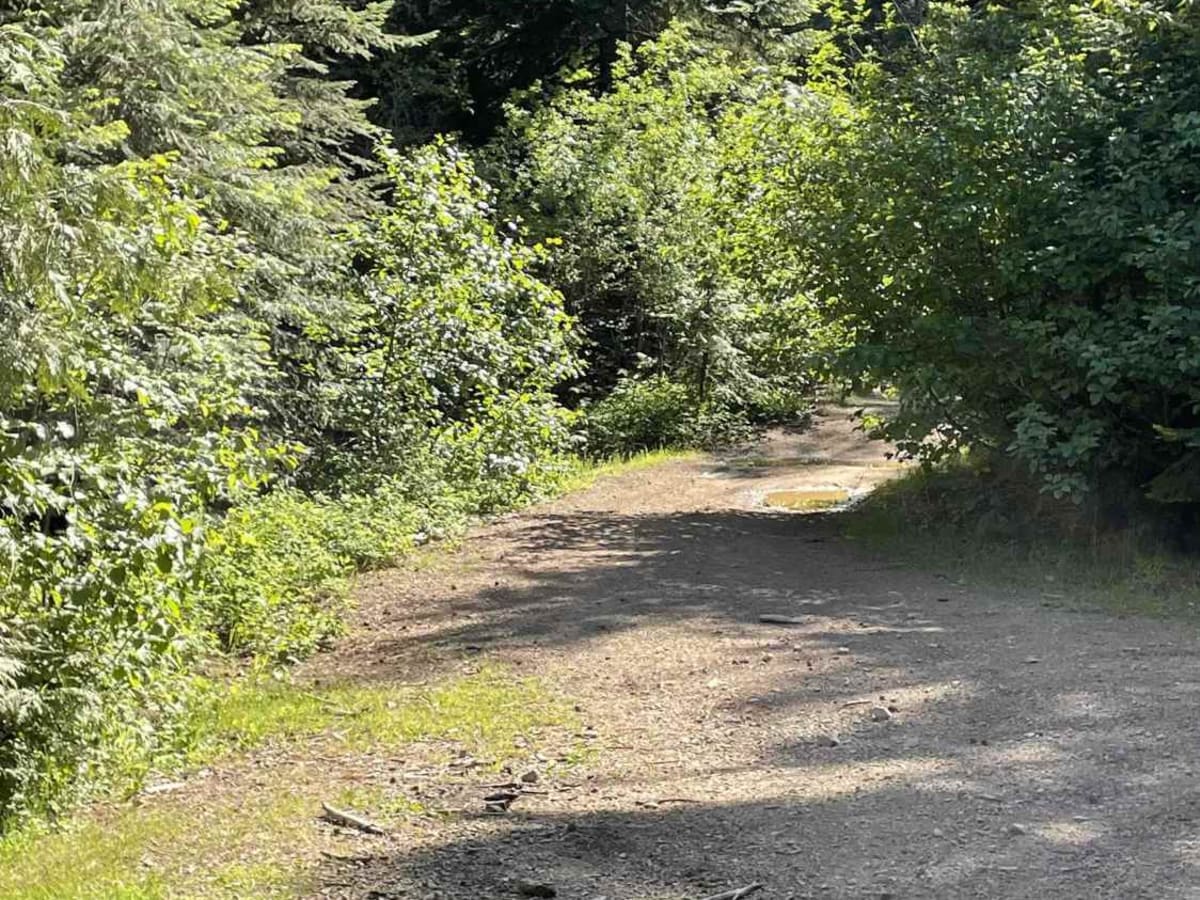North Chilco Road photo 4
