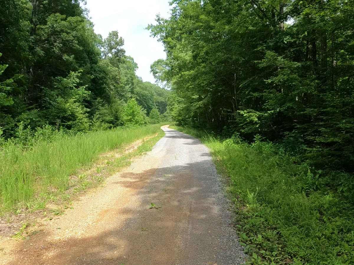 Ginger Bay Road FS 205 photo 5