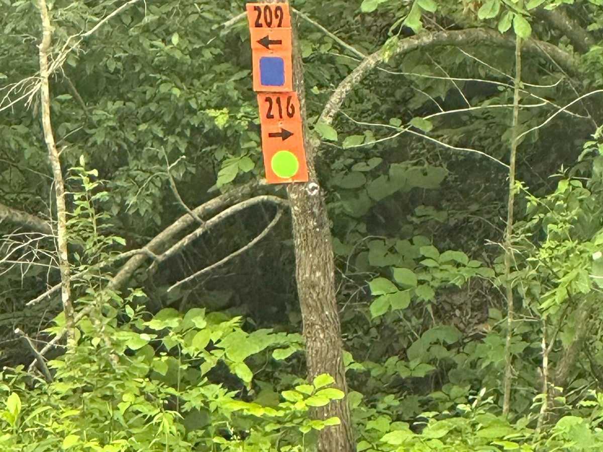 216 trail photo