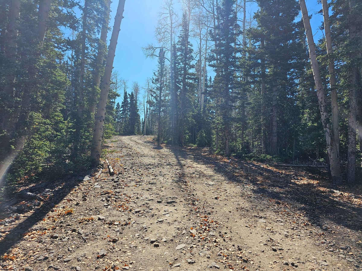 Velvet Lake Road photo 5