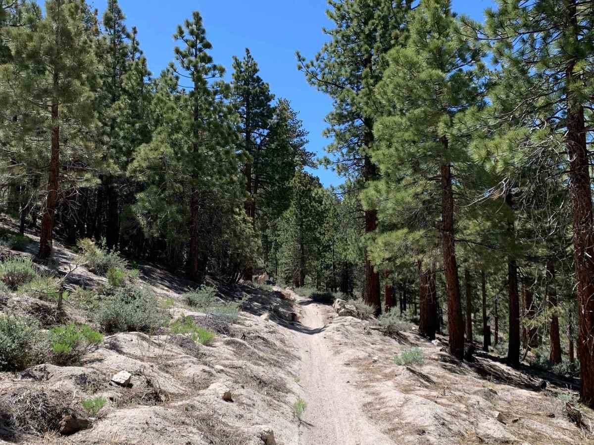 Gilbert Ridge (28E213) photo 3