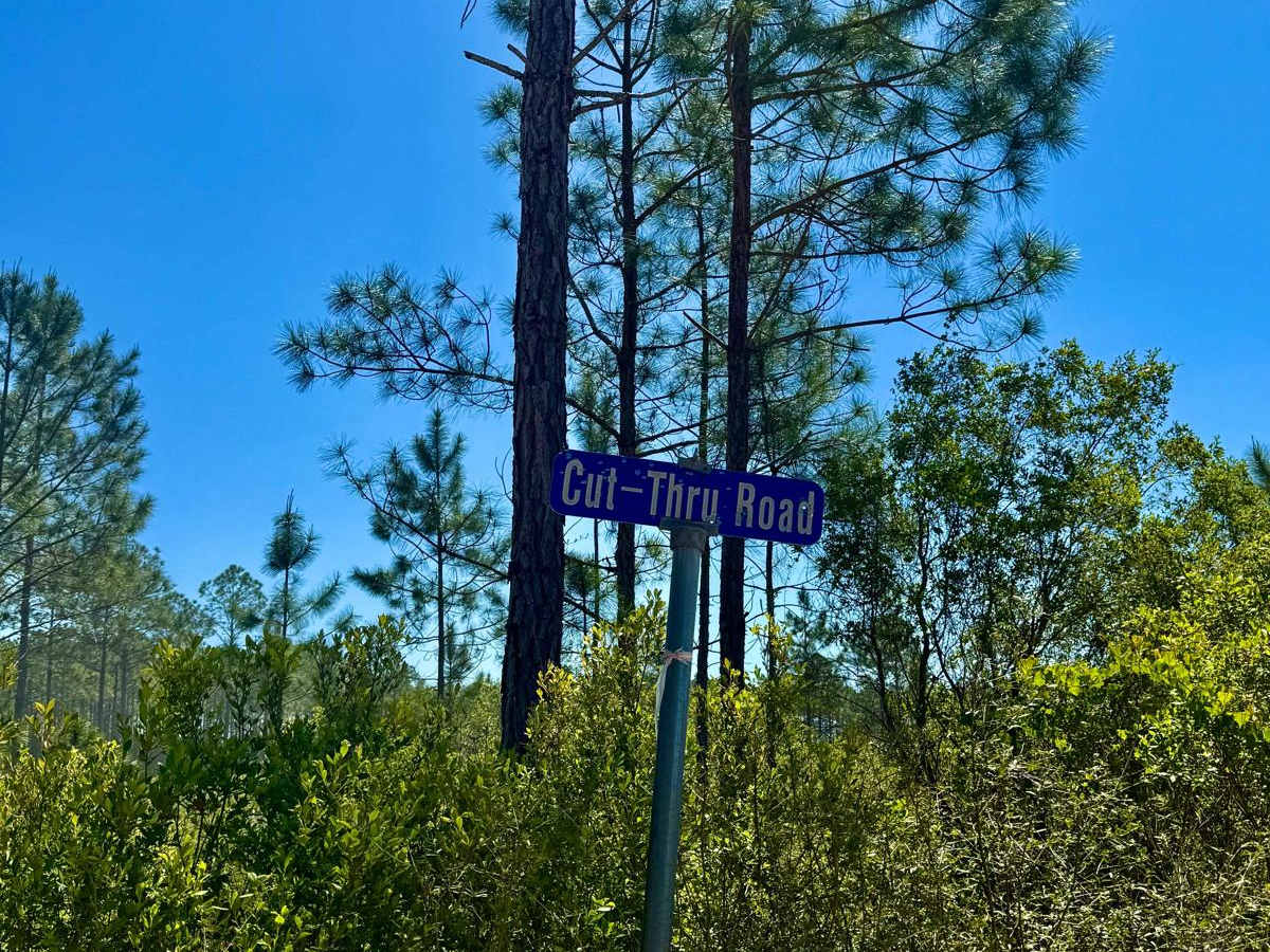 Cut Thru Road trail photo