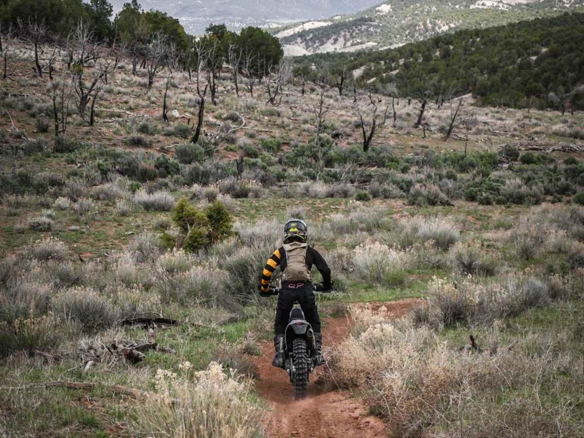 The Maze Trail trail photo