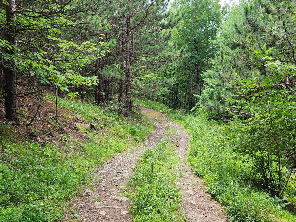 Trail 8G - Rock Run Recreation Area photo 6
