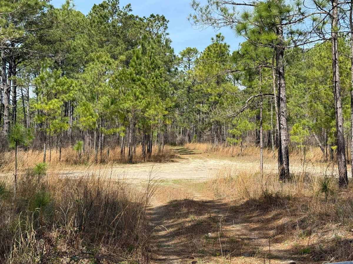 Pettiford Creek Trail 10 photo 6
