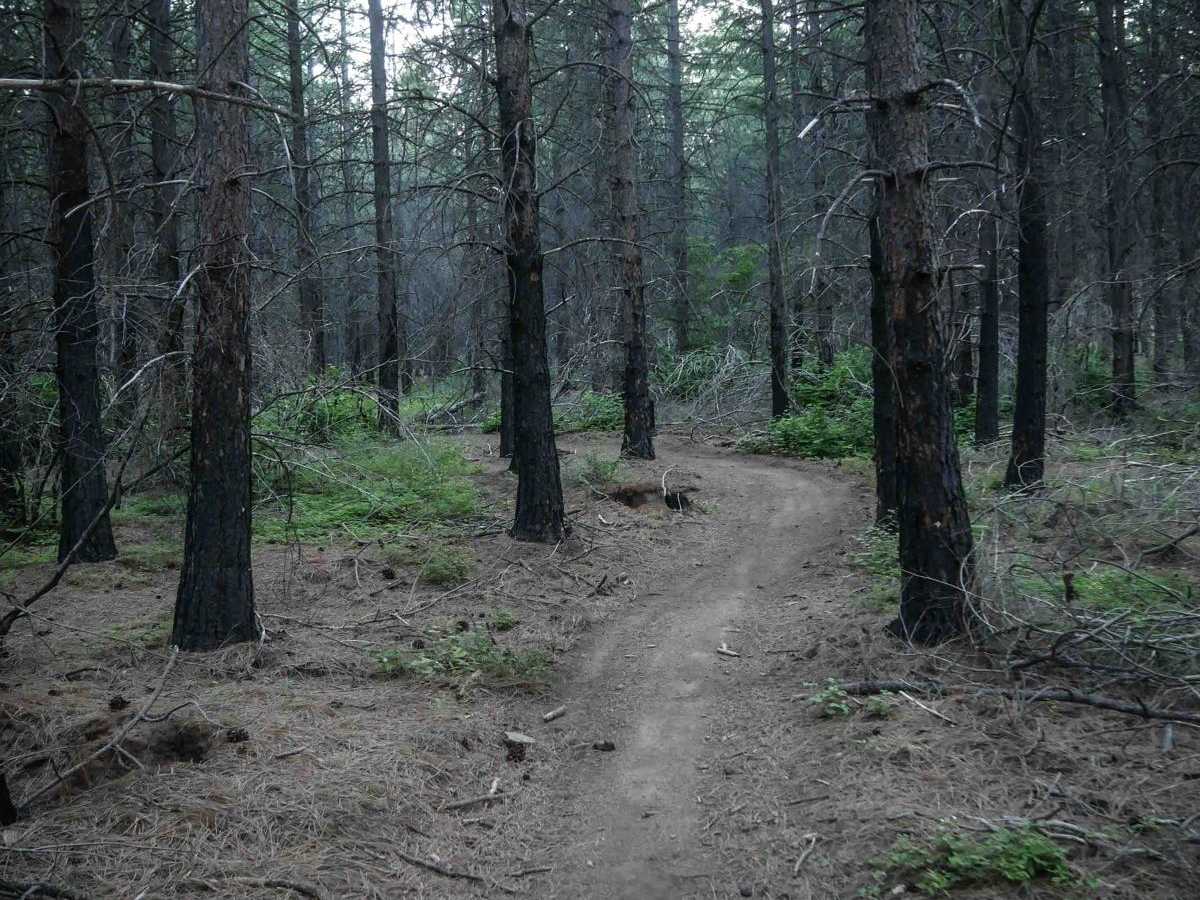592 trail photo