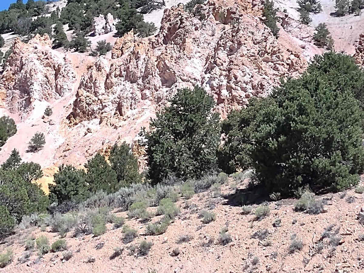 Views of Big Rock Candy Mountain Canyon photo 5