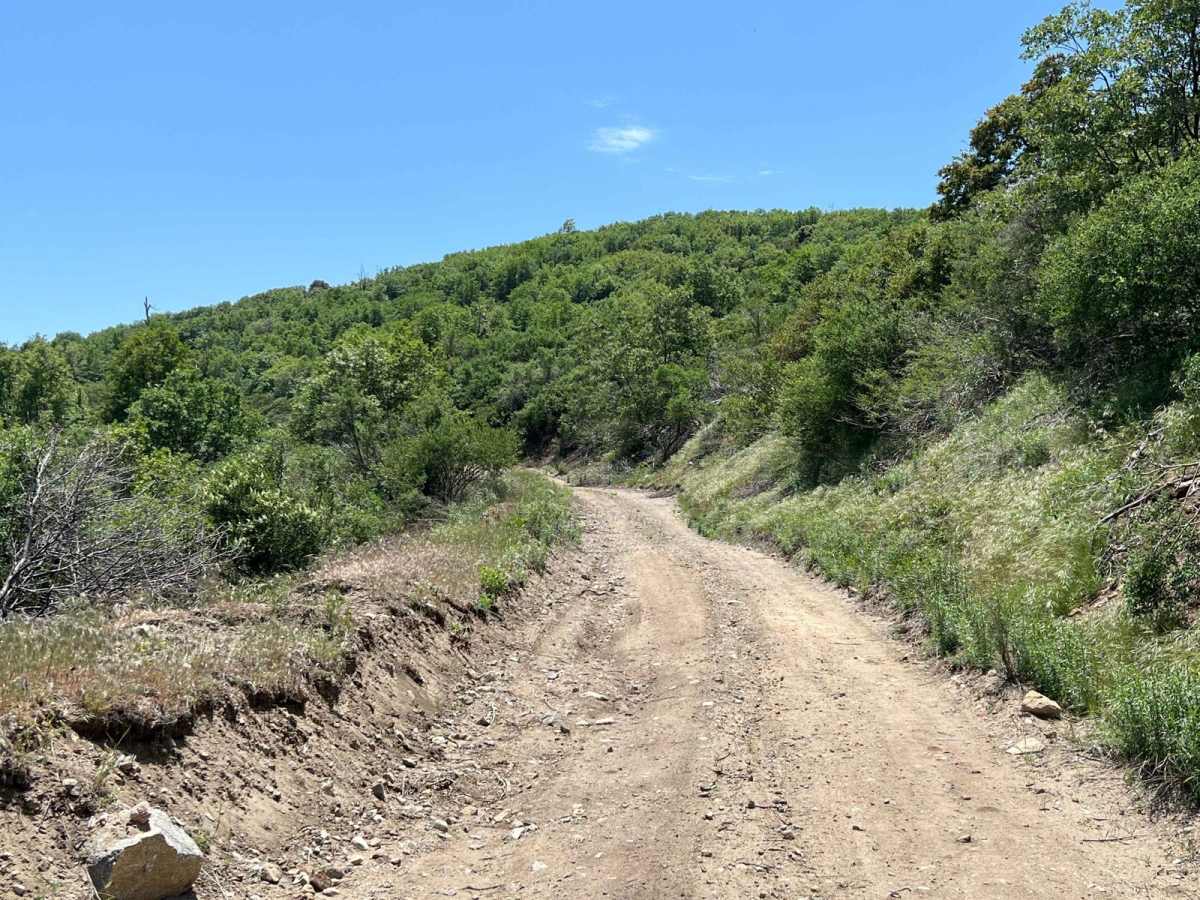 Bailey Canyon photo 6