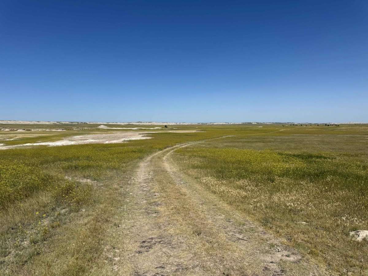 Buffalo Gap Nat Grassland North photo 5