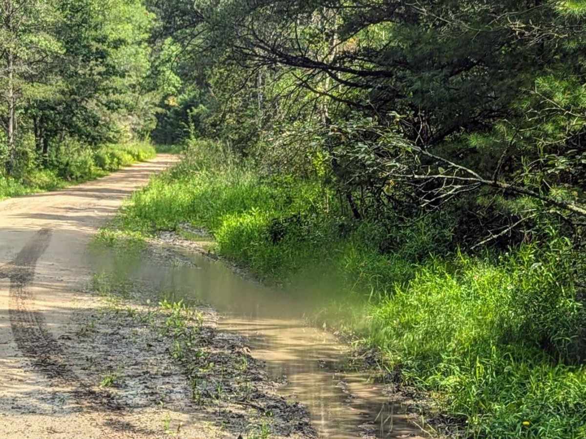 River Lake - NFS 4210 photo 2